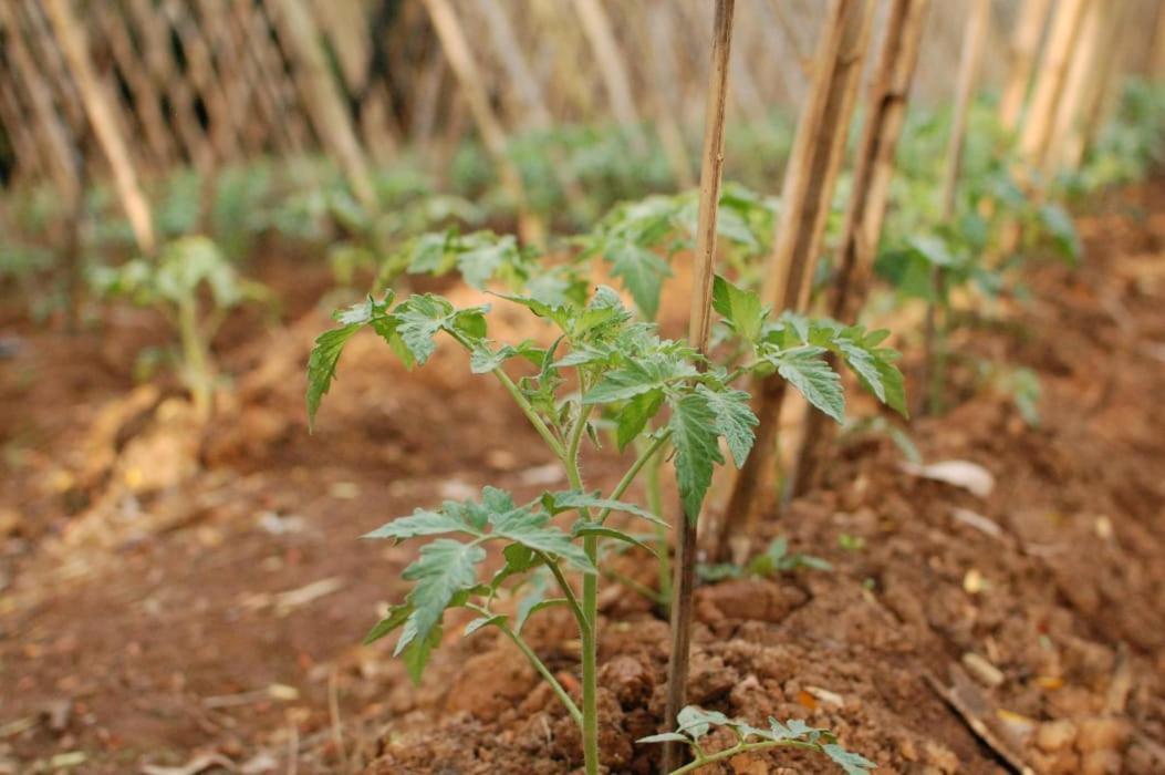Chacara Das Lendas E Cancoes باسا كواترو المظهر الخارجي الصورة
